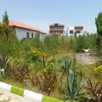 زمین داخل شهرک بانگهبانی223متری/آماده ساخت سنددار