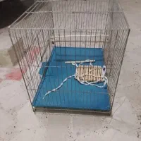 قفس پرنده