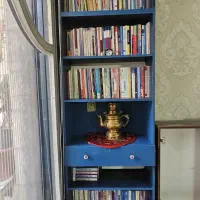کتابخانه یا قفسه سفارشی ساز جادار درحدنو