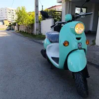 پاکشتی  درحدرنگ خاص