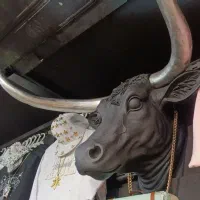 مجسمه دیواری