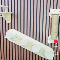 لانه گربه سه تیکه دیواری