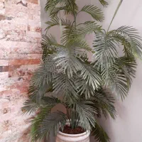 درختچه کنیتا خارجی پارچه