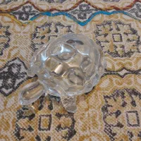 دکوری کریستال لاکپشت و سگ و دلفین