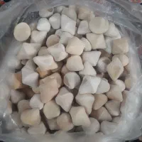 کشک گوسفندی