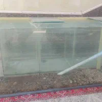 آکواریوم