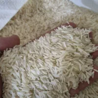 برنج پاکستانی 20 کیلویی