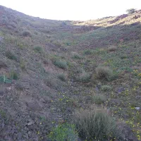 حیوانات