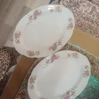 ظروف چینی