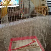 قفس عروس هلندی