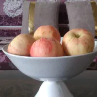 سیب درختی