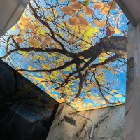 سقف‌کشسان‌سقف‌کاذب‌سقف‌استخر‌کیفیت‌تضمینی