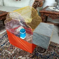 عروس هلندی