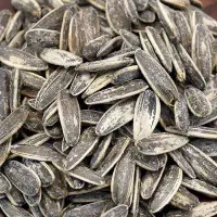 ارسال رایگان تخمه پردیس ، بومهن ، رودهن ، دماوند