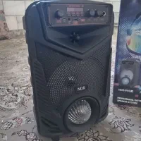 اسپیکر NDR-P44