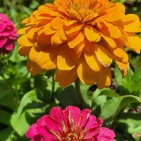 فروش خط کد یک و سه