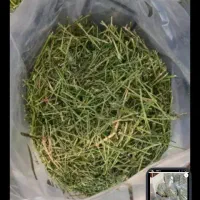 یونجه خشک خالص و تمیز