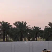 کاشی کاری واصلب کارهستم