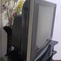 تلویزیون