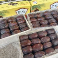 خرما رطب صادراتی اقتصادی و ارزان