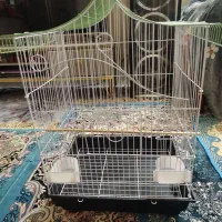 قفس پرنده