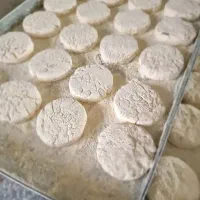 تولیدو پخش گز لقمه و آردی / سوهان گزی/ سوهان/ نوقا