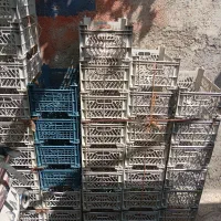 سبدمیوه