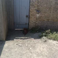 قهدریجانی