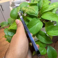 IPhone 12 pro max za/a 256gb 78% graphite|موبایل|گرگان, |دیوار