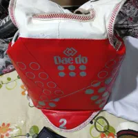 هوگوی تکواندو