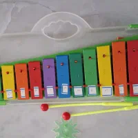 بلز مارک رها همراه کیف