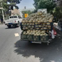 وانت مدل ۸۹ عقب جلو پلمپ