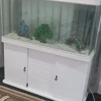 آکواریوم بزرگ با کمد