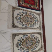 ۳ عدد پادری سالم