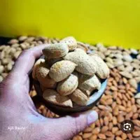 کارگر خانم جهت جداسازی مغز بادام