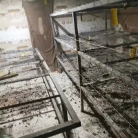 مقداری قفسه پرورش قارچ