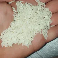برنج طارم هاشمی دو بوجاری ( مجلسی )