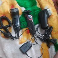 شیور هلندی اصل