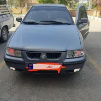 سمند خاکستری سفید