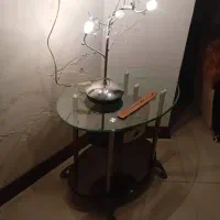 آباژور درختی چند شاخه