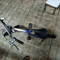 دوچرخه ۱۶.   در حد نوع
