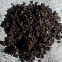 کشمش ابگیری