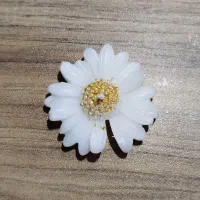 گل بابونه