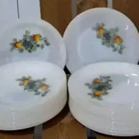 ظرف ارکوپال اصلی