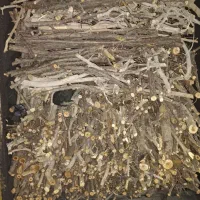 استخدام نیروی کار