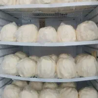 نیازمنده مغازه برایی لبنیات