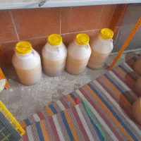 عسل طبیعی خار