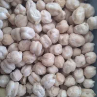 انواع حبوبات به شرط پخت
