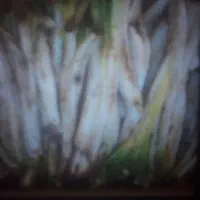 کنگروجاجیق