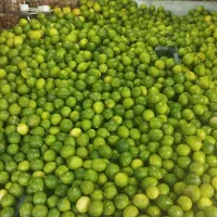 آبلیمو تازه